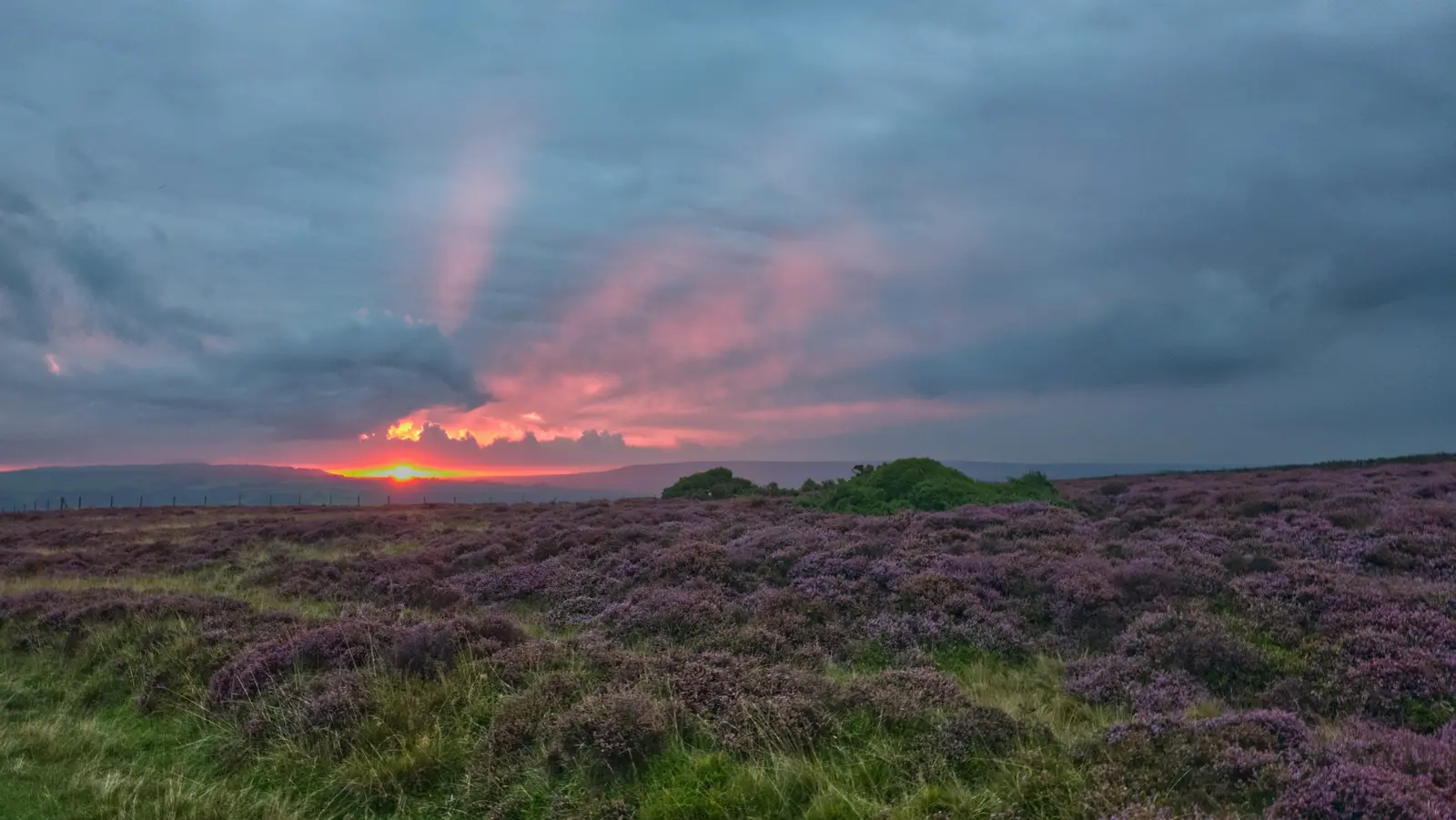Couple walking along the rim of the Hole of Horcum with purple heather in flower